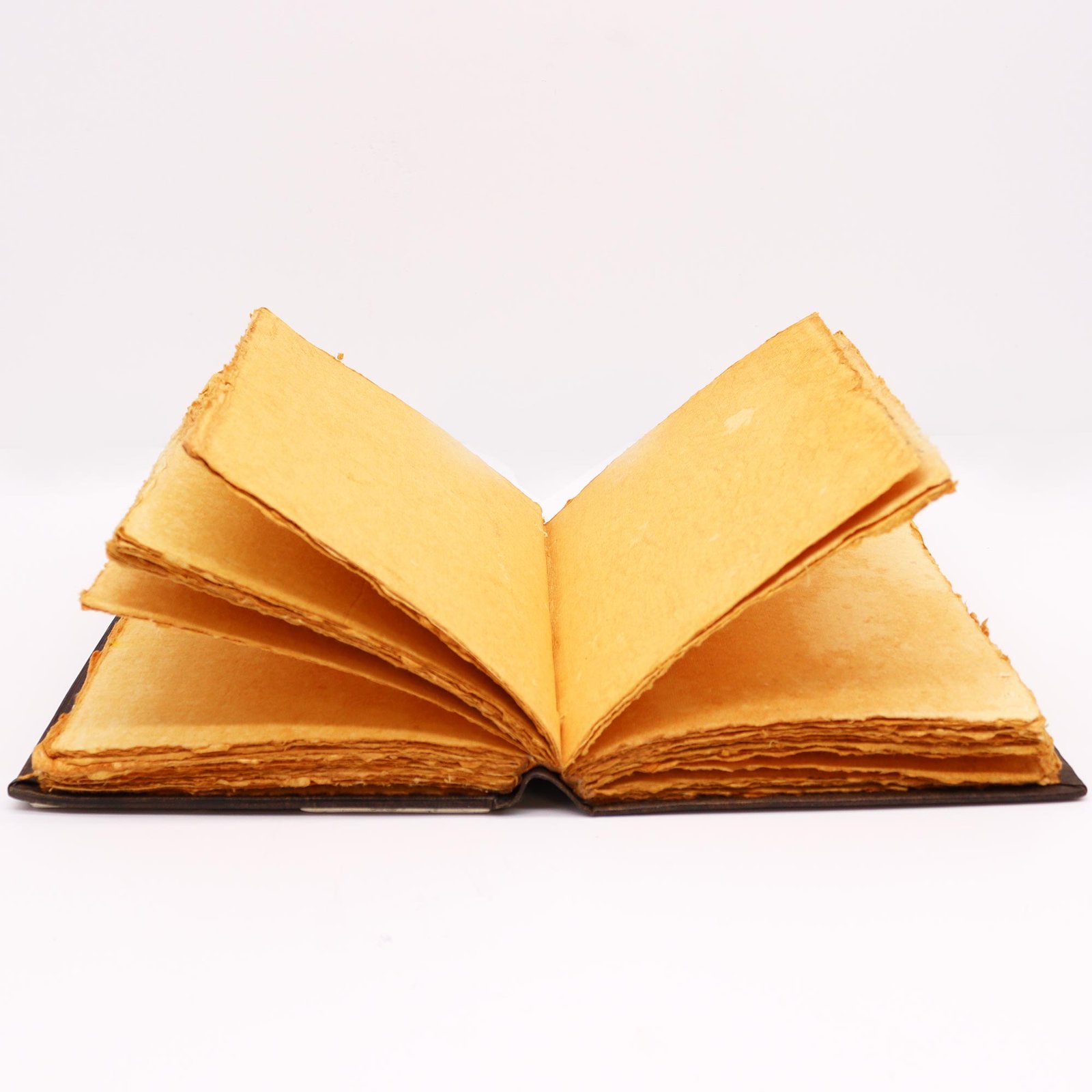 Didelė odinė užrašų knyga su cinko Rose dekoru - 200 puslapių neapdorotais kraštais - 26x18 cm - Image 4