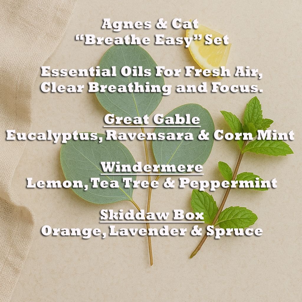 Eterinių aliejų rinkinys „Breathe Easy“ – trys gamtos kvėpavimai - Image 8