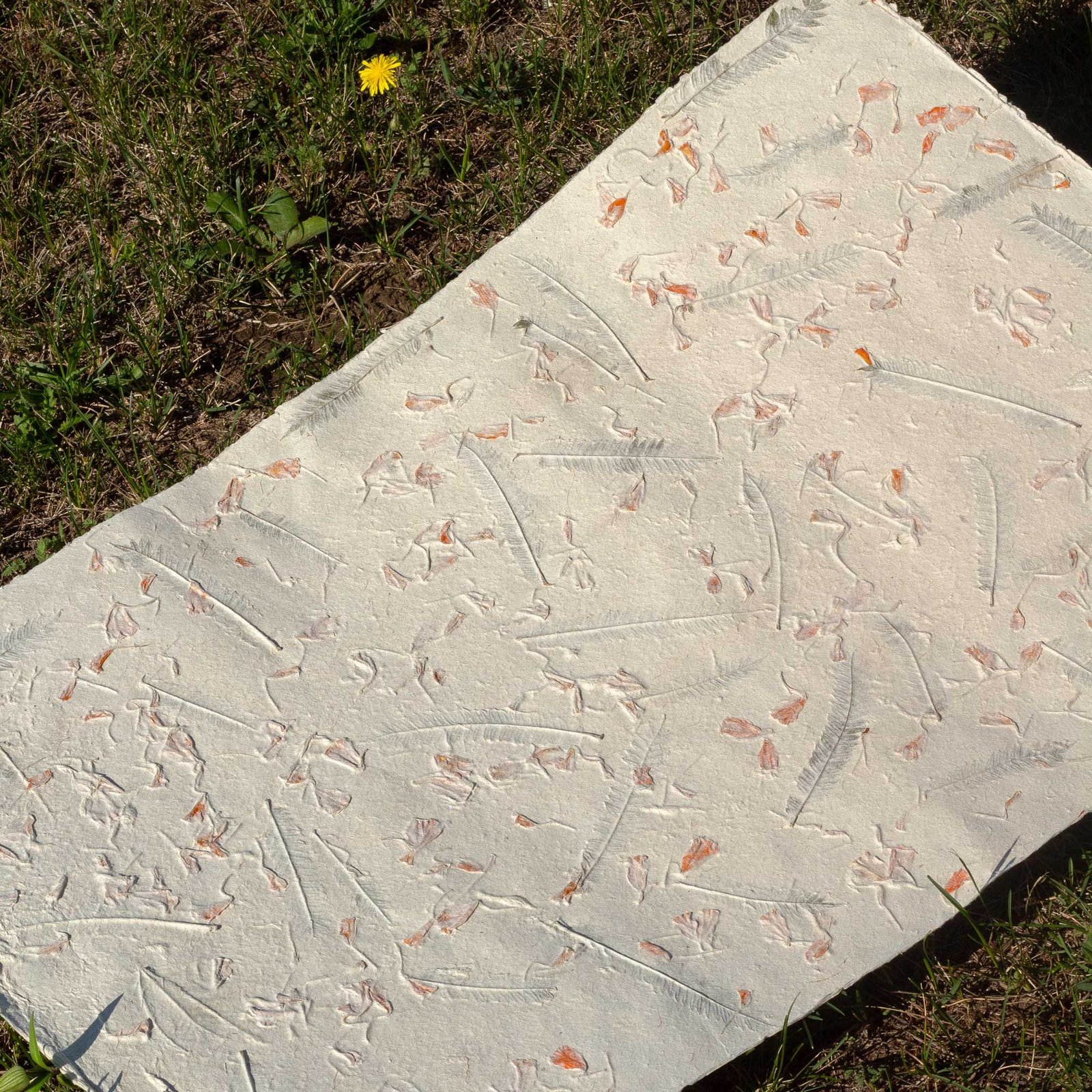 Lokta rankų darbo popierius „Žolės dvasia“ 51×76 cm – Nepalo kalnų tekstūra - Image 3