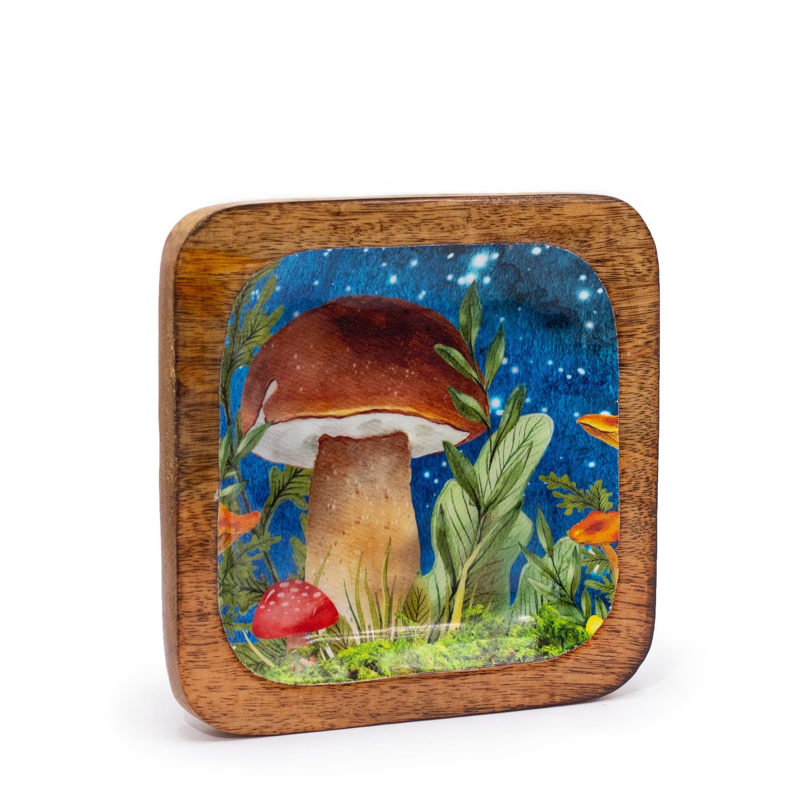 Didelis kvadratinis padėklas „Mushroom Design Teal“ – jaukioms smulkmenoms ir namų magijai