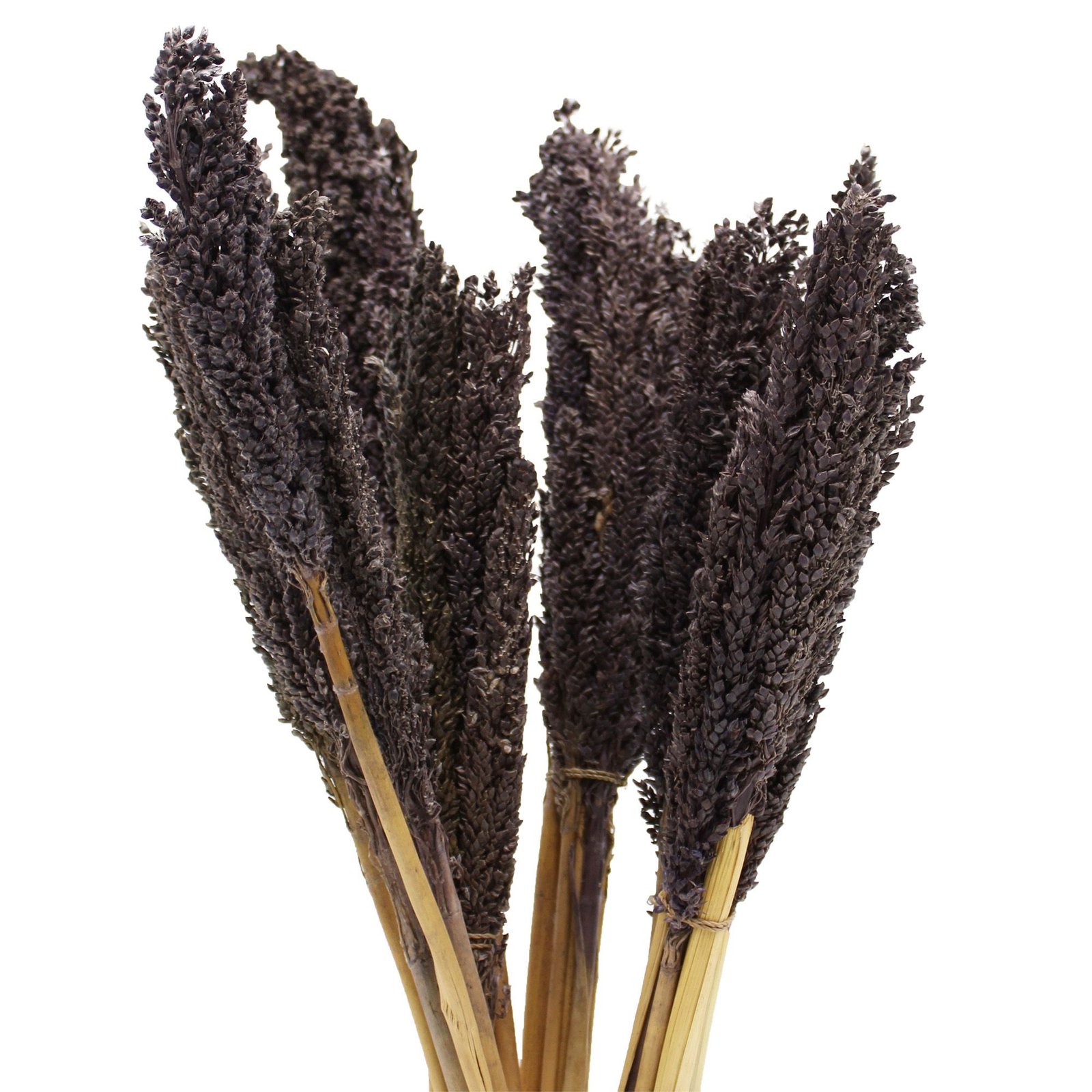 Dekoratyvinė žolės puokštė „Cantal Grass“ – juodas, elegantiškas namų akcentas