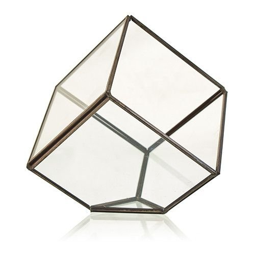 Alternative view of Stiklinis terariumas „Cube on Corner“ – kampu pastatyta šviesos ir žalumos paslaptis
