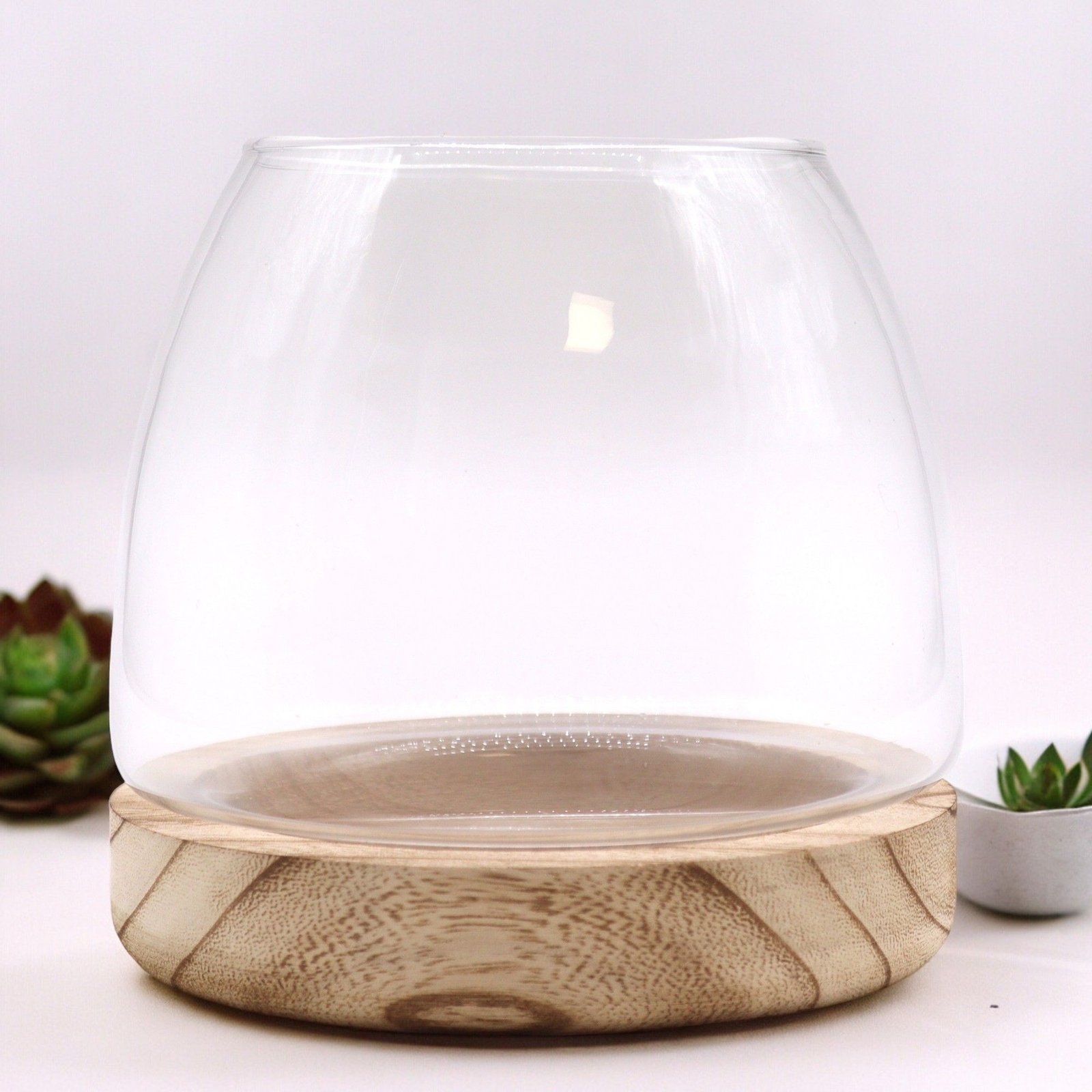 Stiklinis terariumas ant natūralaus tungo medžio – 15 × 15 cm jaukumo akcentas
