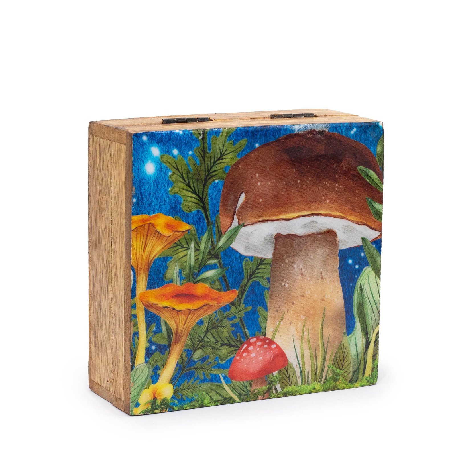 Medinė dėžutė „Mushroom Design Teal“ – žalsvas miško paslapties namelis