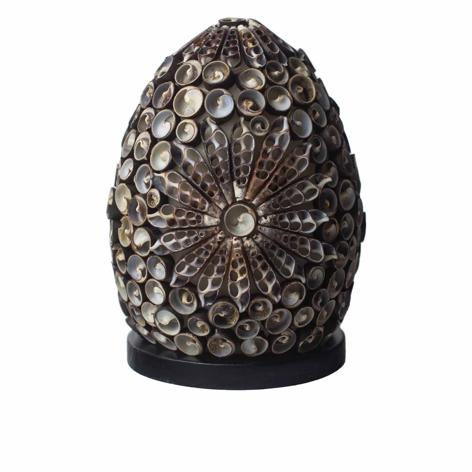 Boho jūros kriauklių lempa „Chocolate Twist Oval“ – 15 cm jaukiai namų šviesai