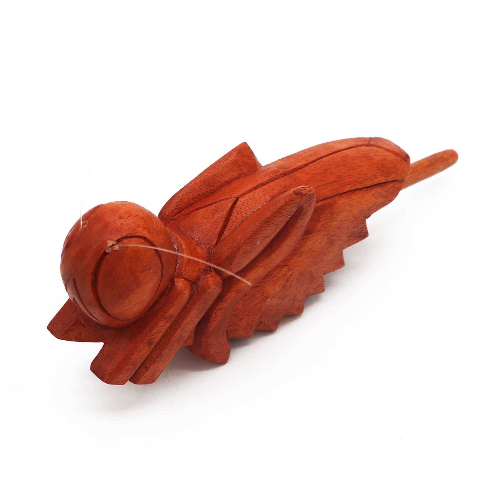 Alternative view of Medinis žiogas „Churping Wooden Grasshopper“ – žaismingas garso dekoracijos akcentas