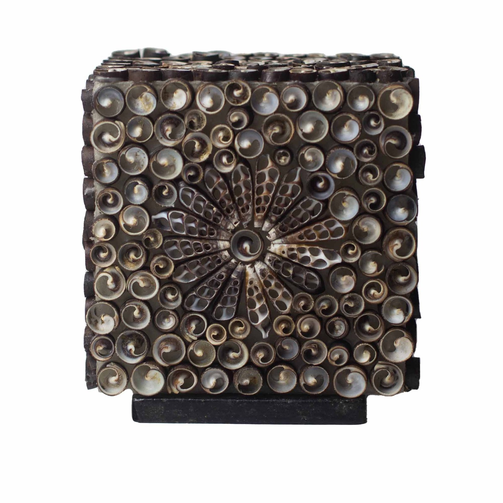Boho jūros kriauklių lempa „Chocolate Twist Square“ – 15 cm jaukios šviesos akcentas