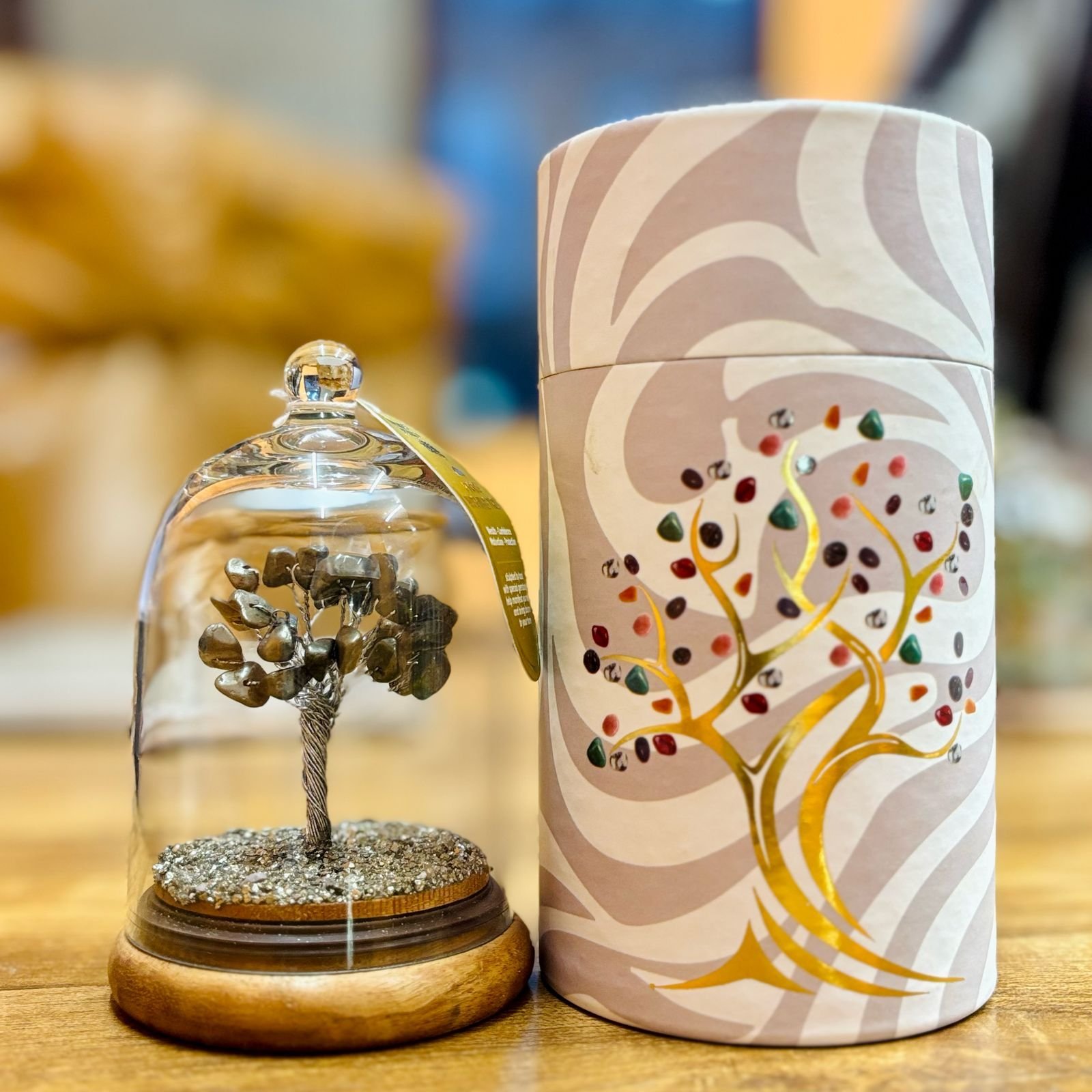 Brangakmenių medelių sodas „Pyrite“ – auksinio spindesio namų akcentas