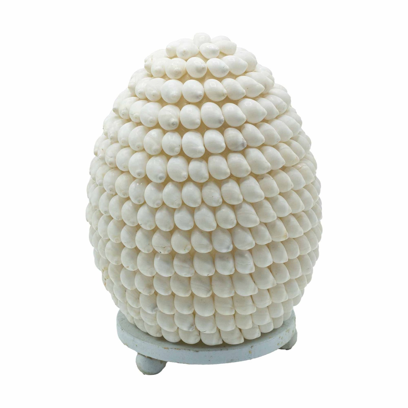 Boho jūrinė lempa „Buting Shell Oval“ – 15 cm kriauklių šviesos paslaptis